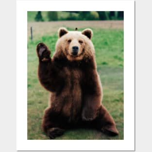 Cute Hi Bear Posters and Art